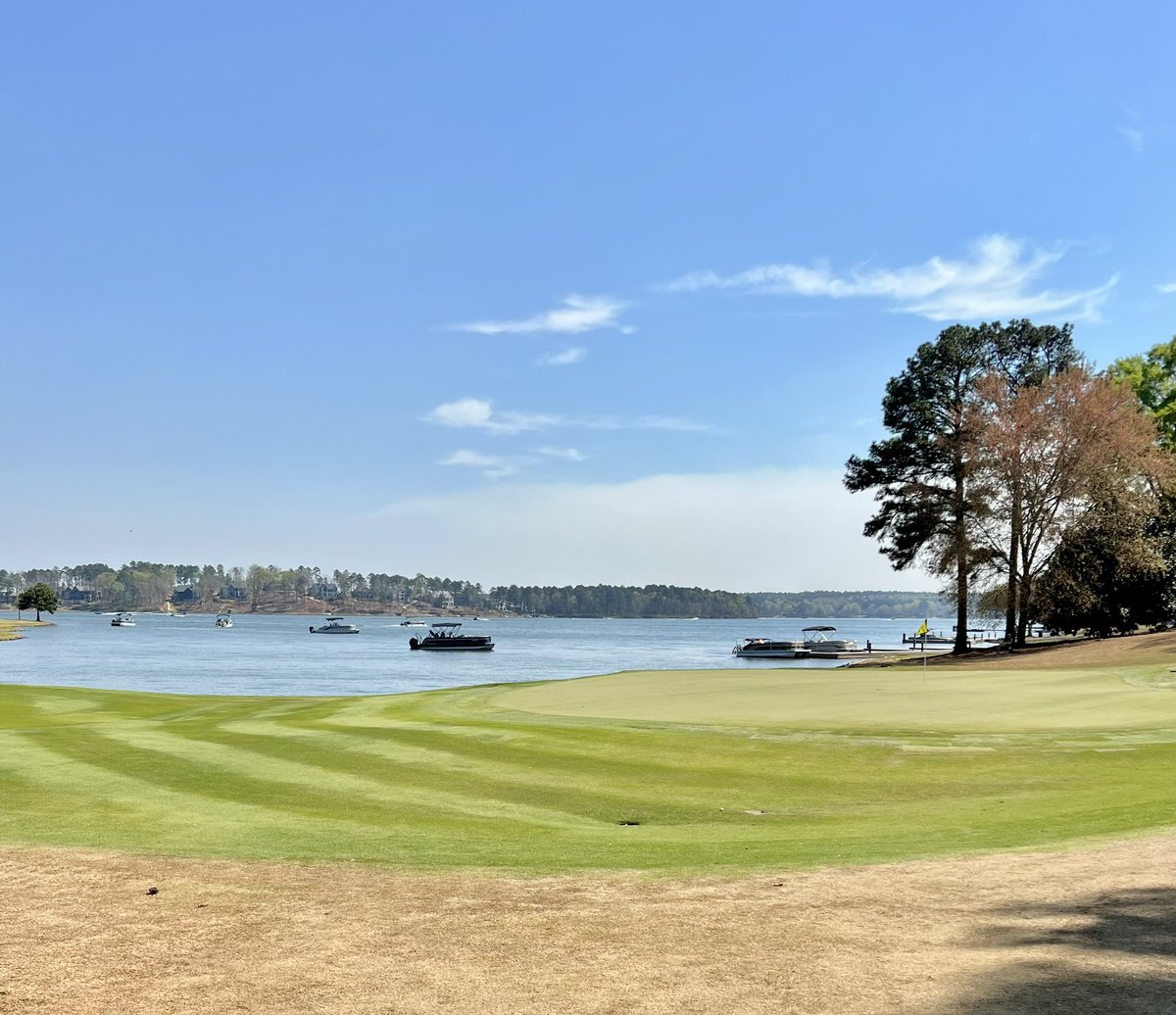 Teddy Ballgame tweet media