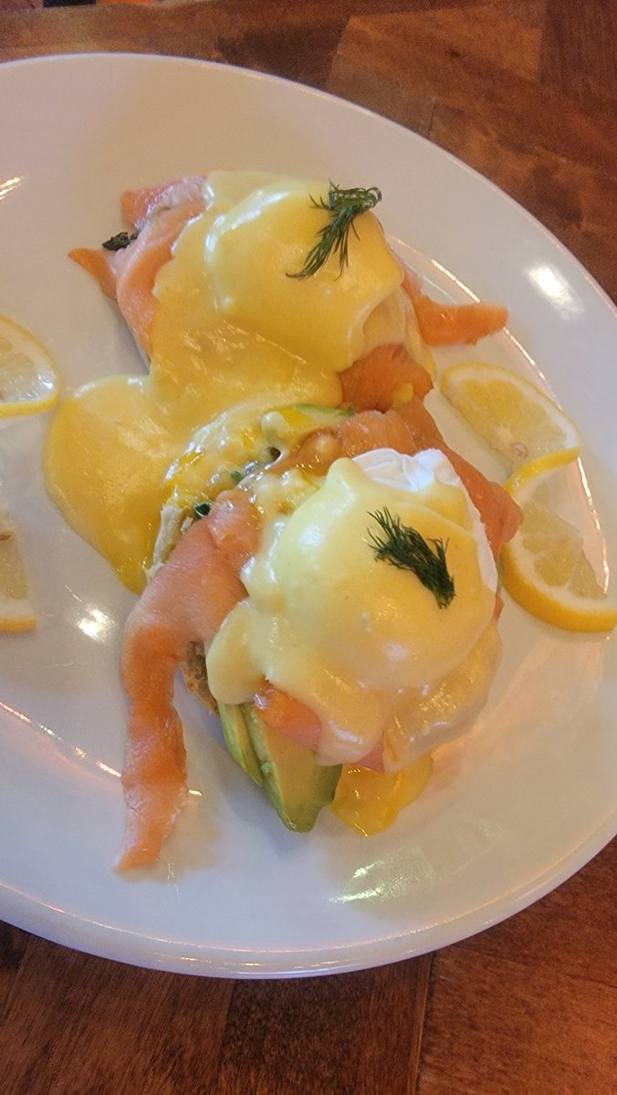 meowtoshling woofamoto tweet media