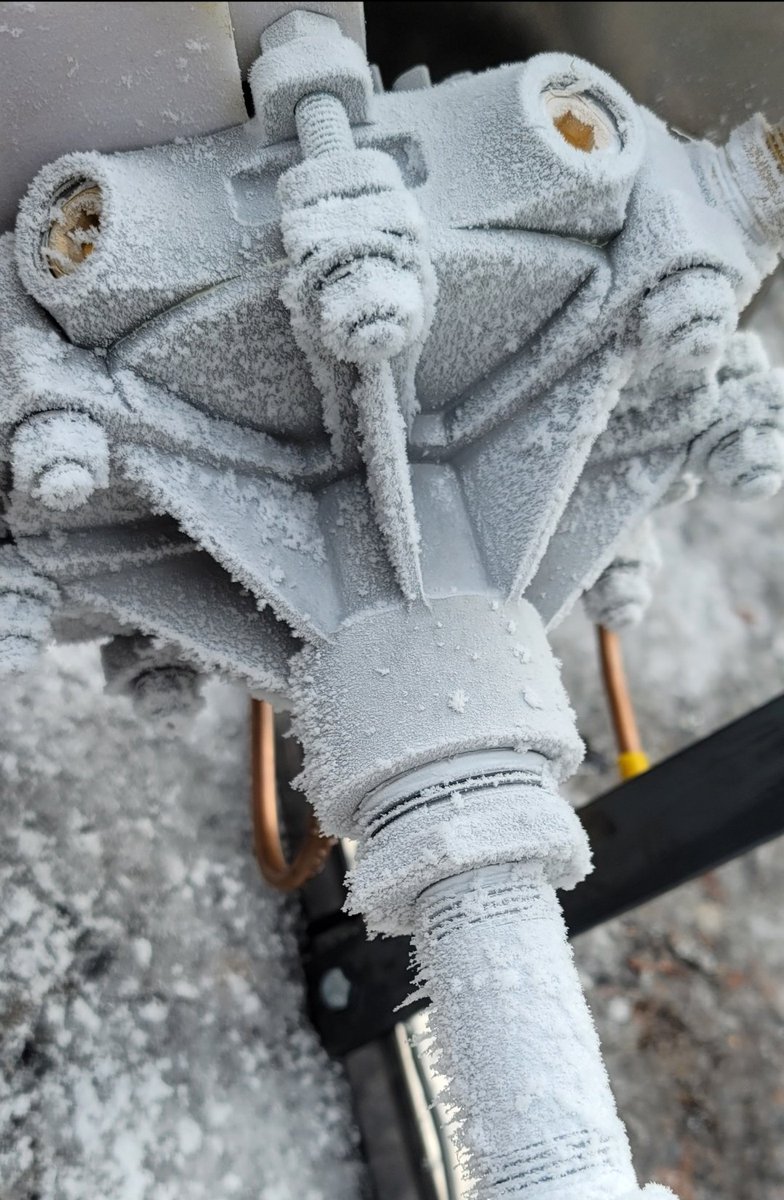 Storm Silvawalker 🇨🇦 tweet media