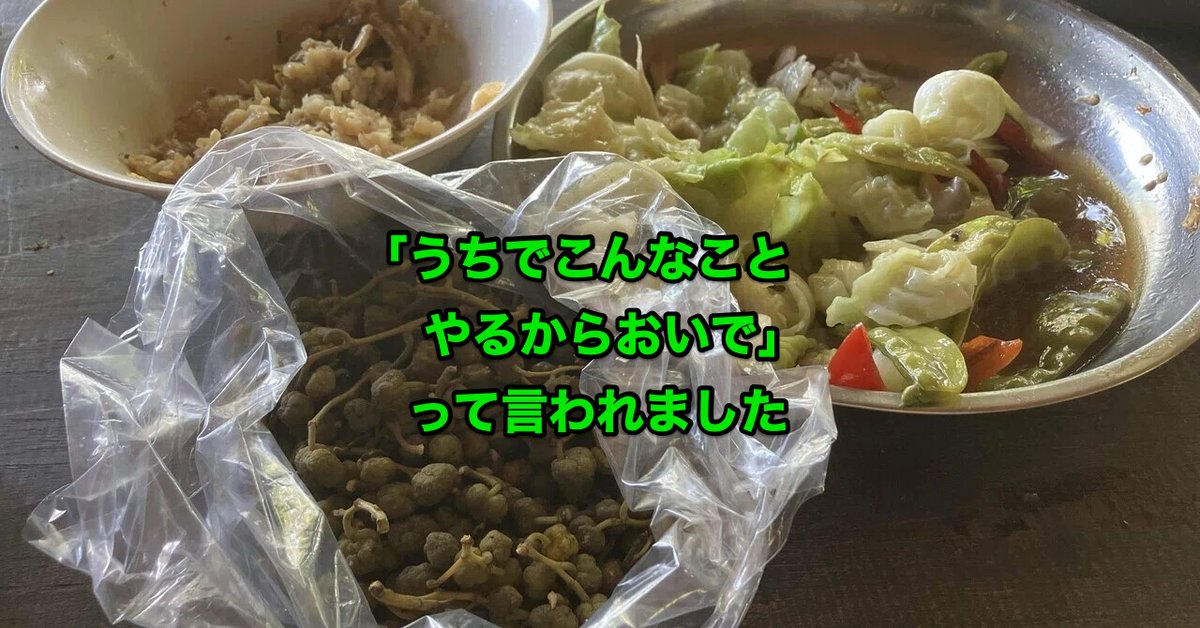 三栗祐己🍅 増刷決定！『北の国から　家族4人で幸せ自給生活』 tweet media