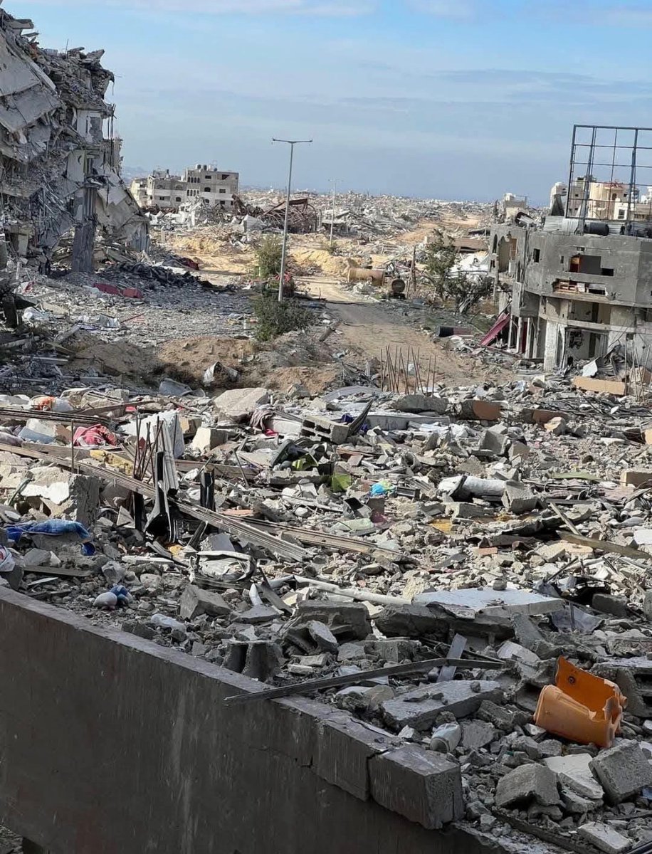 zinah𓂆 tweet media