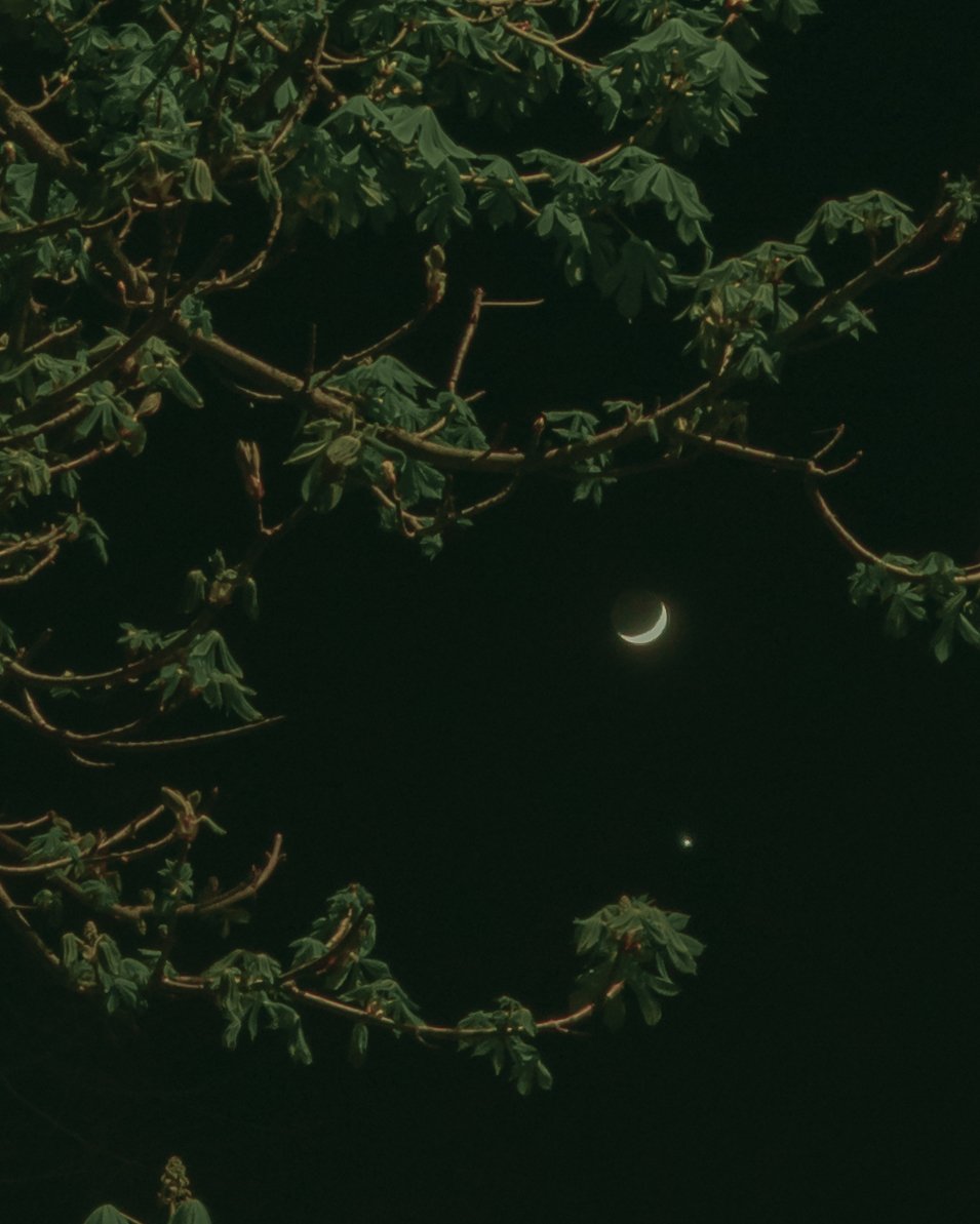 денаритми 📷 tweet media