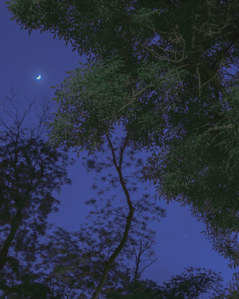 денаритми 📷 tweet media