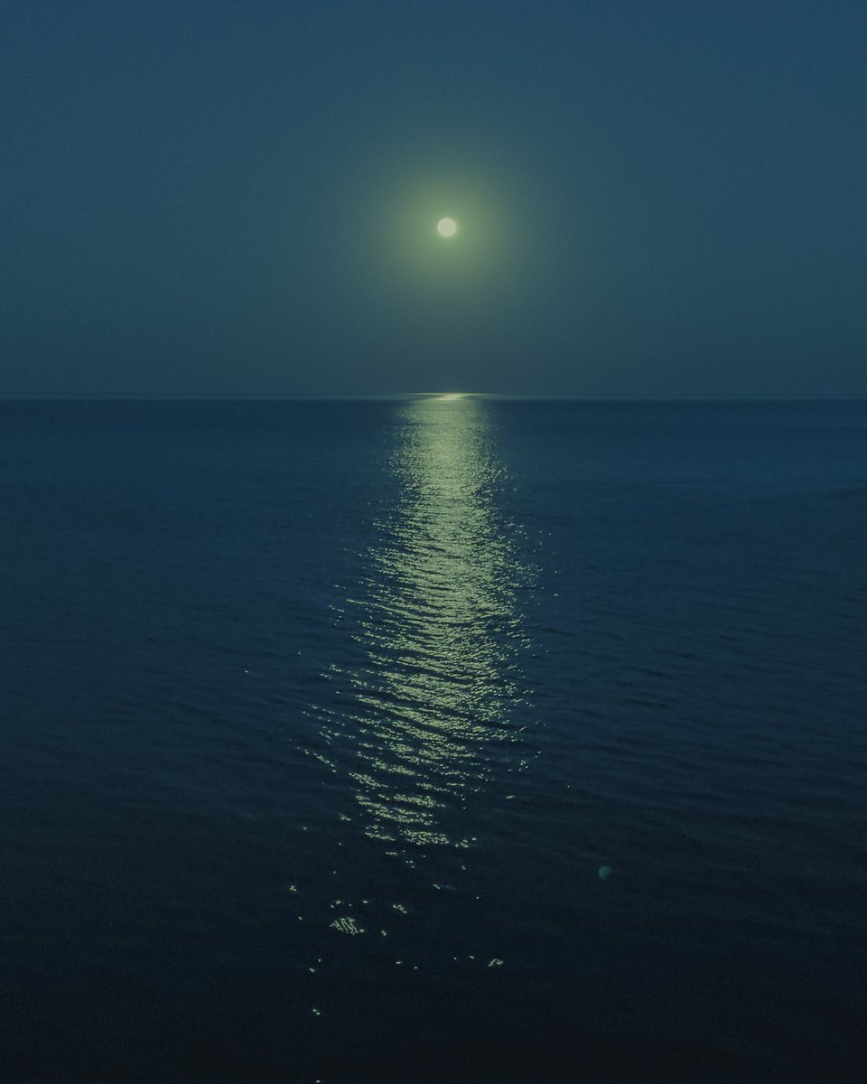 денаритми 📷 tweet media