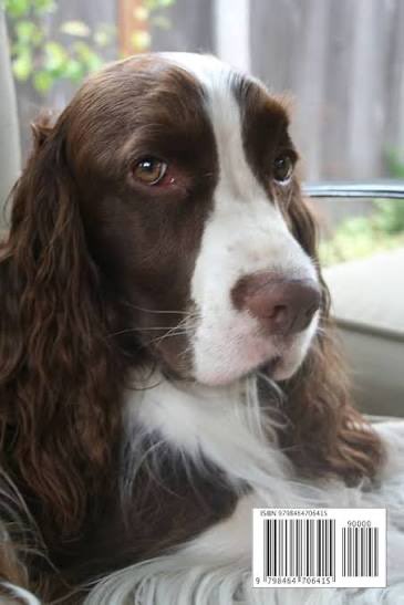 AmusedRedPanda ✝️✝️✝️ tweet media