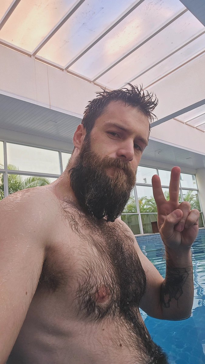 My OnlyCats tweet media