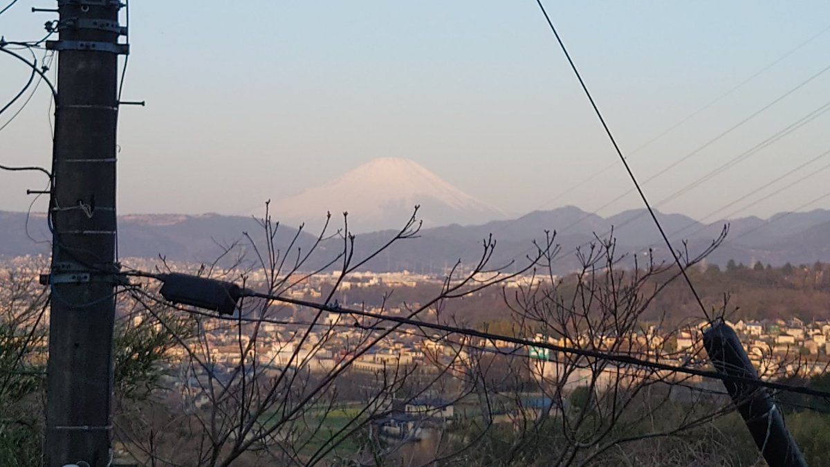 ロス万蔵(仮) tweet media