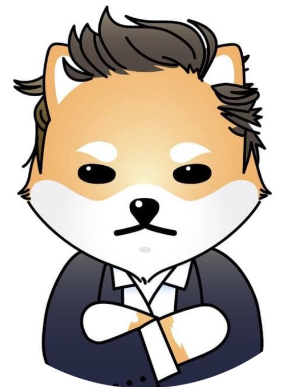 the elon token (🚀,🔴) tweet media