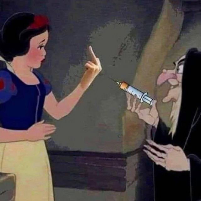 Drs. Oom des Metaforenlands tweet media