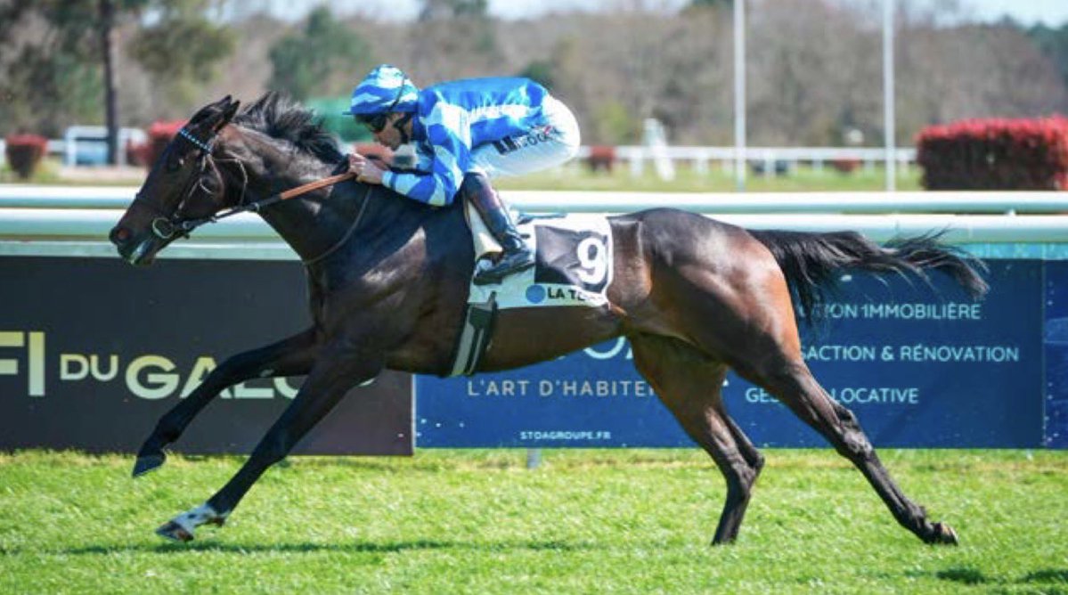 Yeguada Centurión FAN tweet media