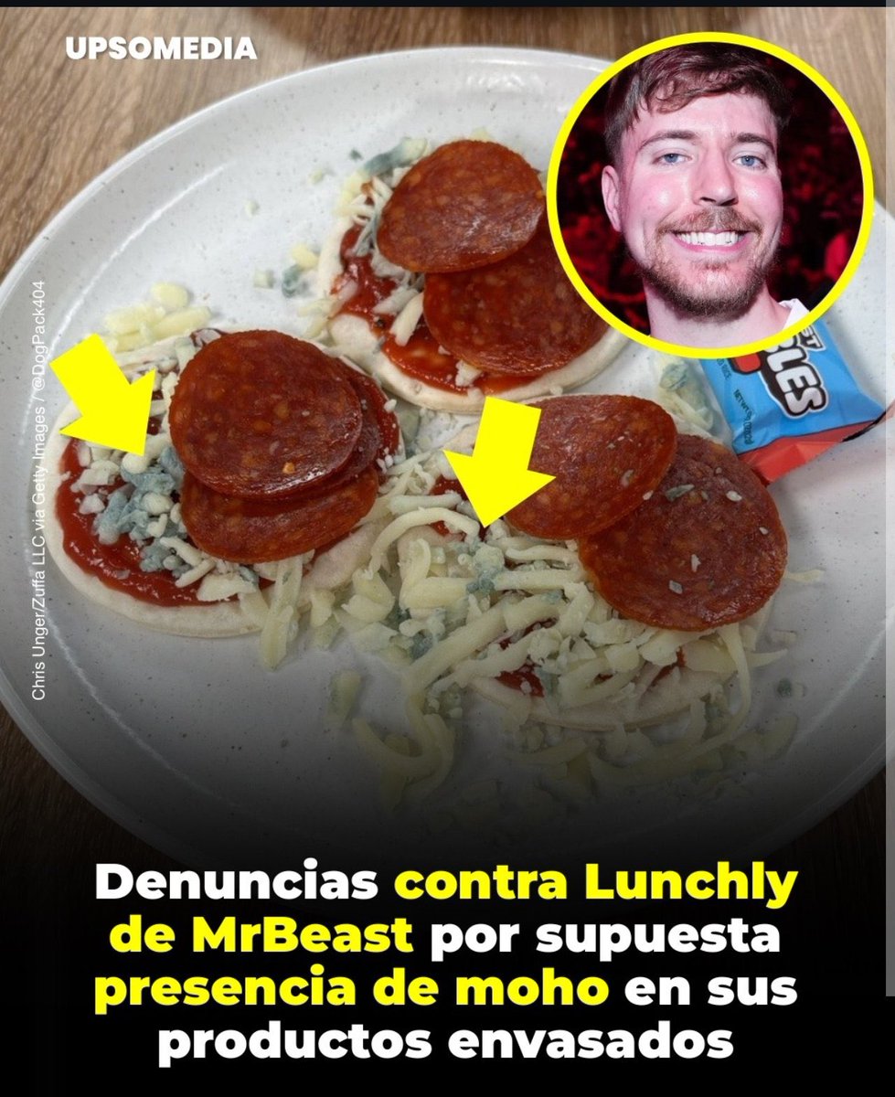 Authentic Tlacuache 🤘🦡🏳️‍🌈 tweet media