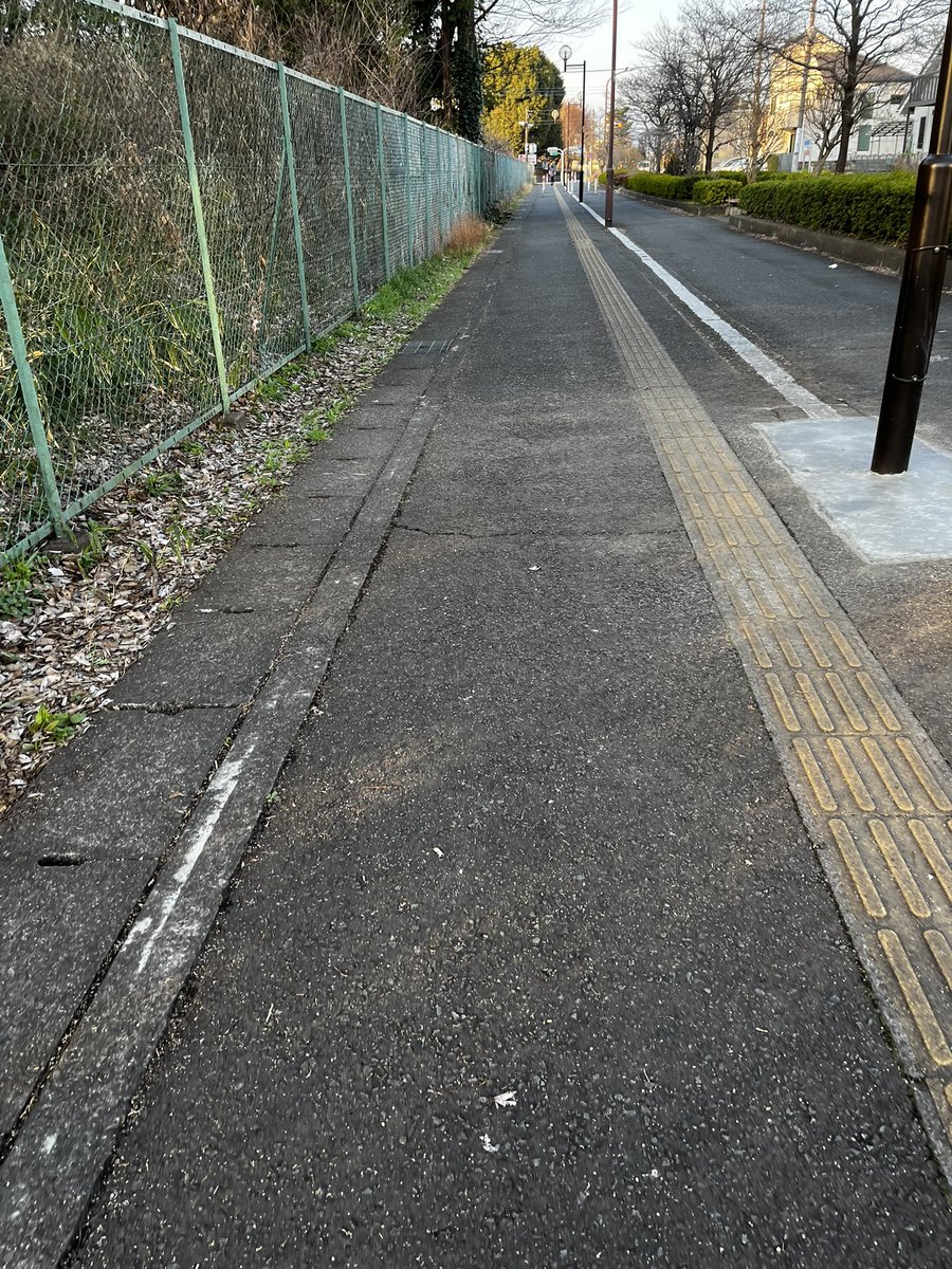 こっしーZX-14R🐕 tweet media