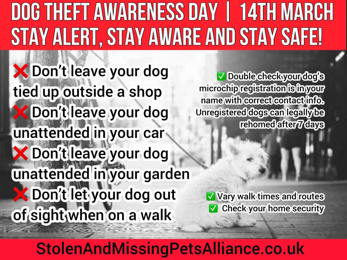 Pet Theft Awareness tweet media