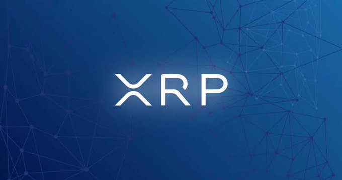 Chloe the XRP shiller 💙 tweet media