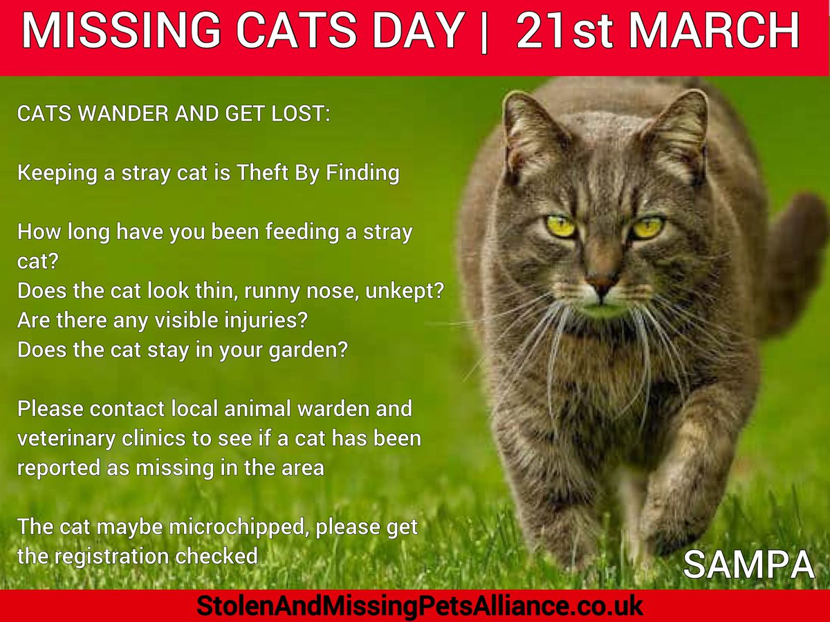 Pet Theft Awareness tweet media