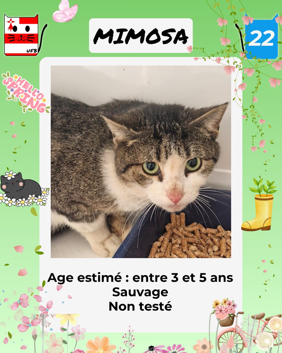 justine44 tweet media