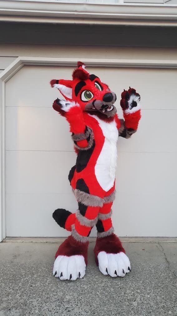 Electro🔜FWA tweet media