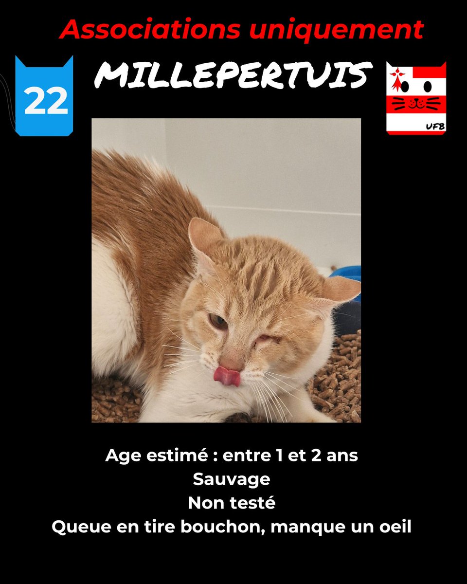 justine44 tweet media