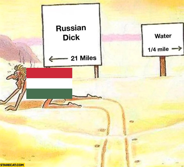 Frank Morel tweet media