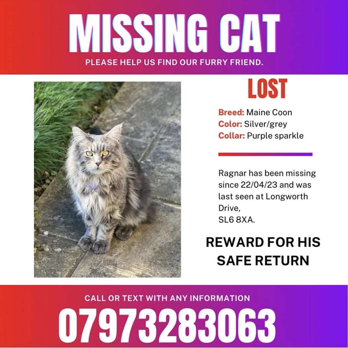 karensarah66's tweet photo. Beautiful Ragnar has been missing from his home in Berkshire SL6 since 22/4/23 Heβs a silver grey Maine Coon and needs your help π«΅π»ππ»Please keep eyes and ears open to help bring him home. #missingcatday #mainecoone #muddypawscrime #pettheft https://t.co/aTTBTKTyNl