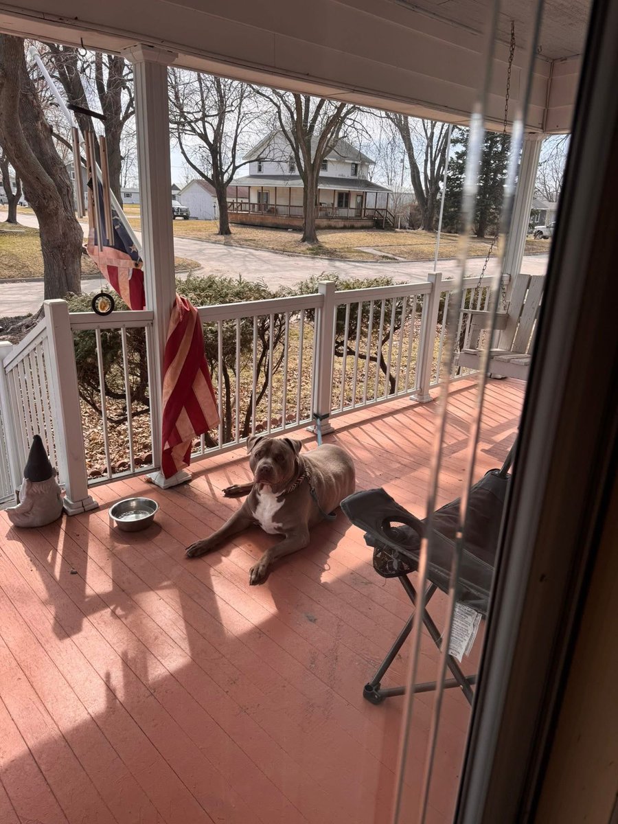 Heathen King tweet media