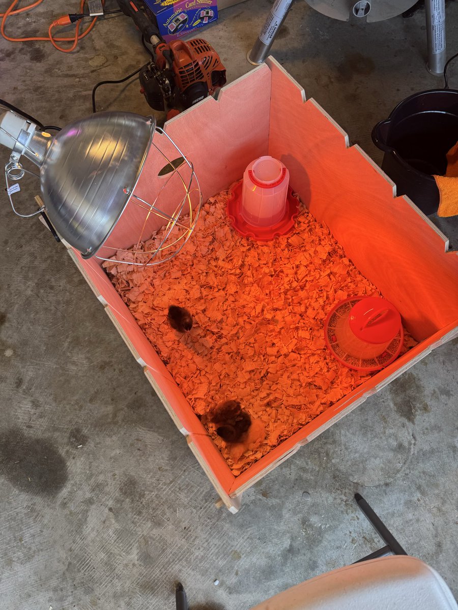 Jeff Nelson tweet media