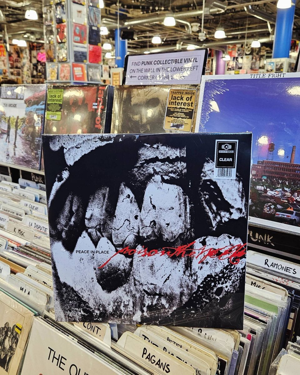 Amoeba Music tweet media