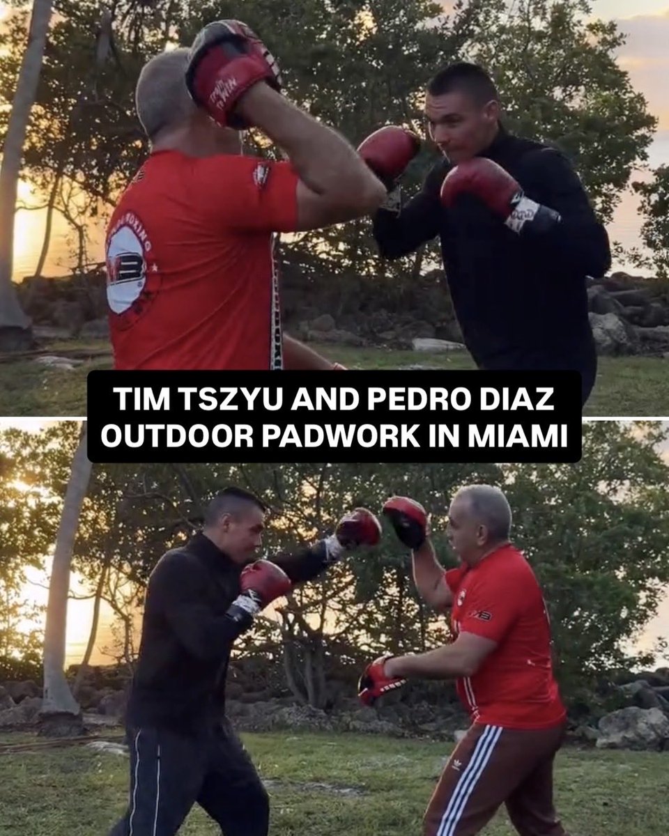 Aus-Boxing.com tweet media