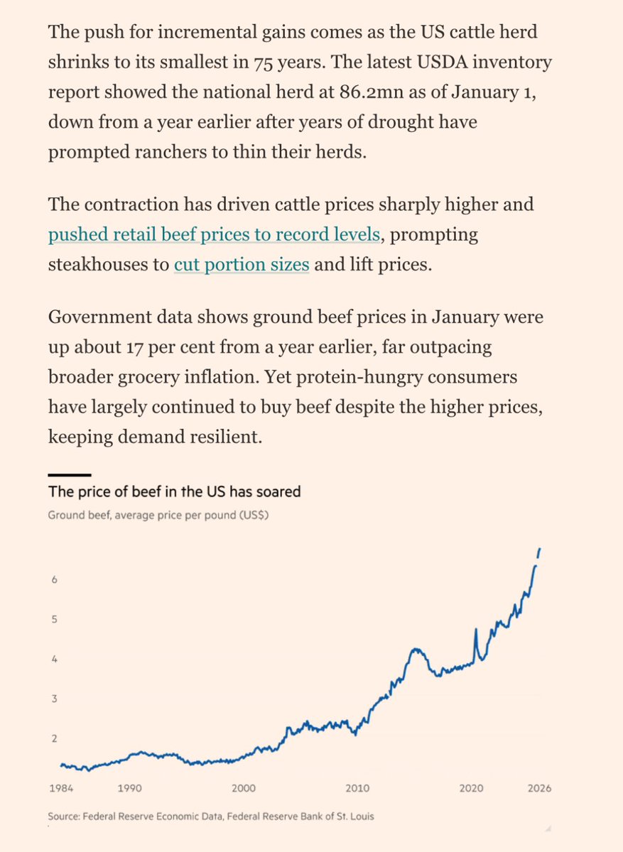 Trung Phan tweet media