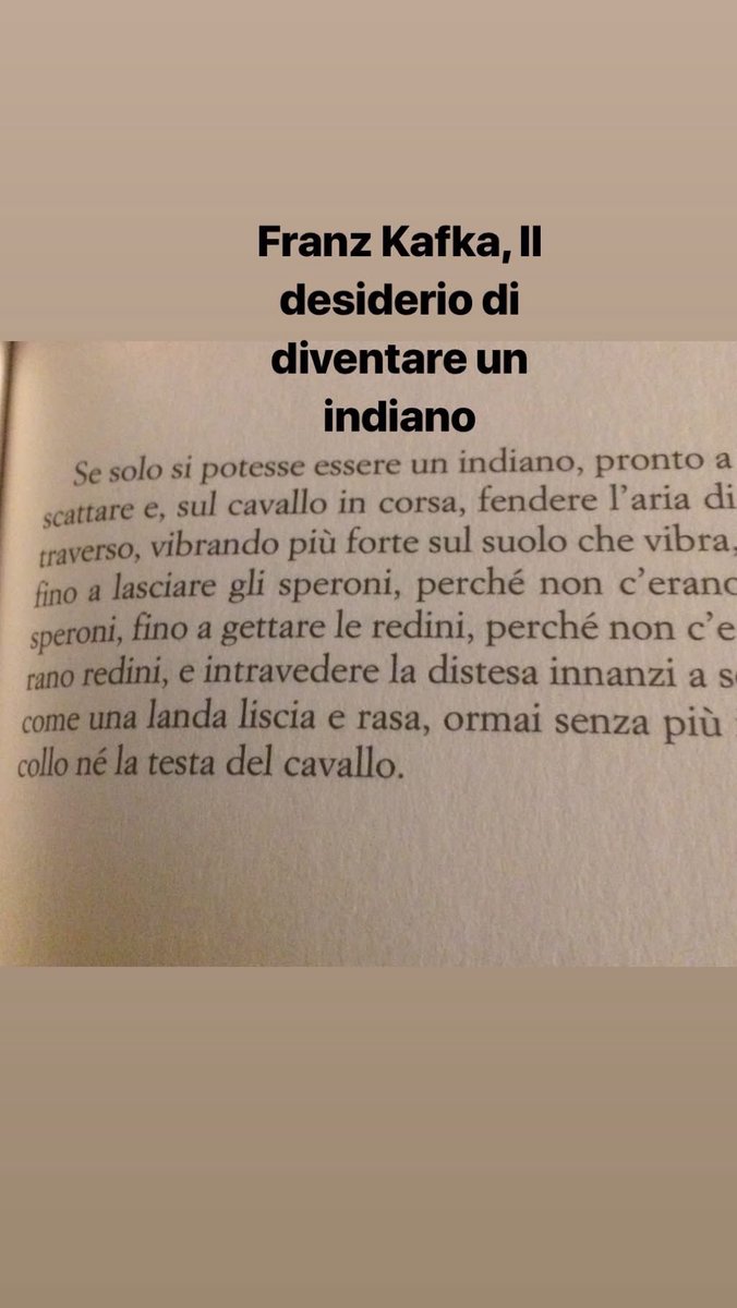 Tea Pecunia tweet media