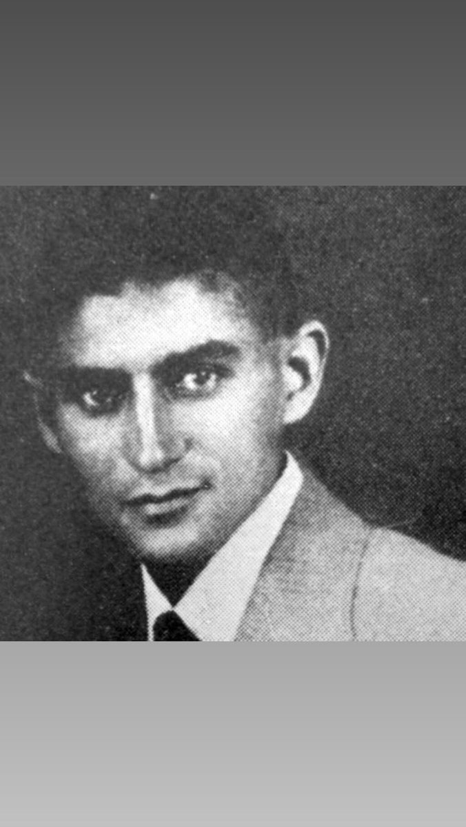 Tea Pecunia tweet media