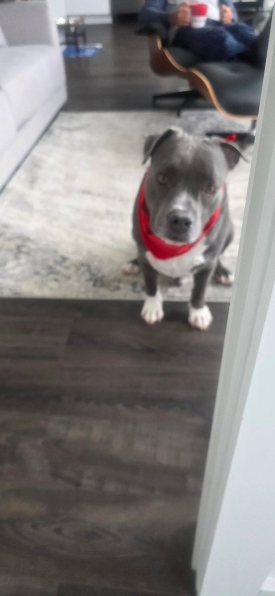 Kis_Lisa's tweet photo. @kcorr54 @X Thx! I have been mostly on Instagram. Just got married and have a dog named Donut. Hope u are well. https://t.co/QwcXmXq1Xl