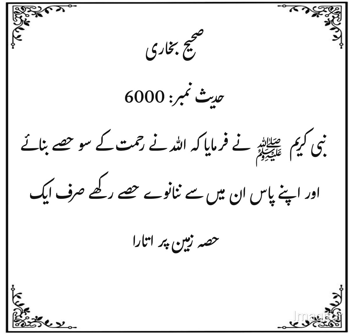 آمنہ👑 tweet media