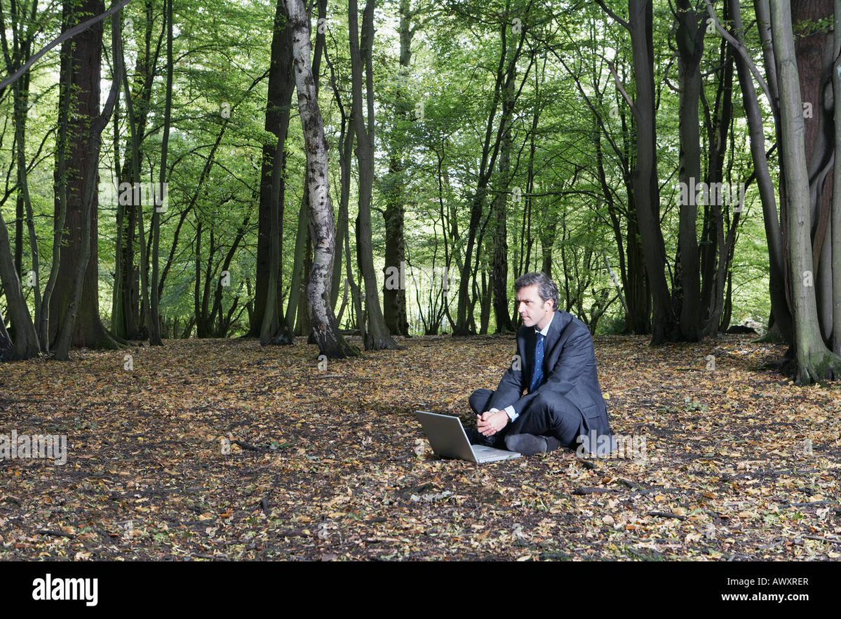 goosewin tweet media