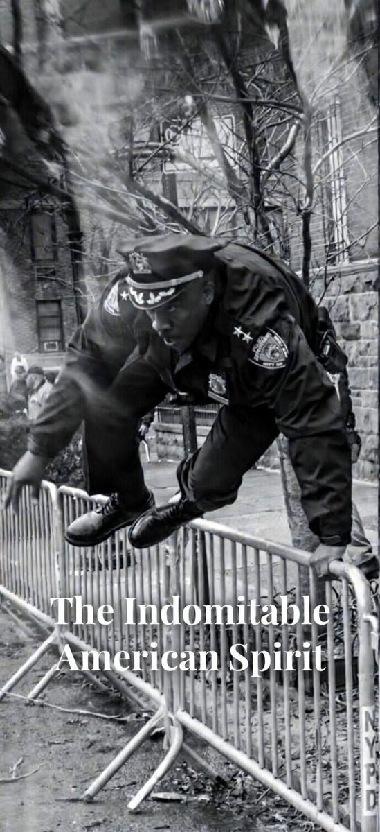 AF Penguin tweet media