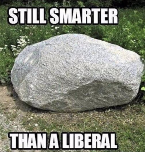 STING 🇺🇸 tweet media