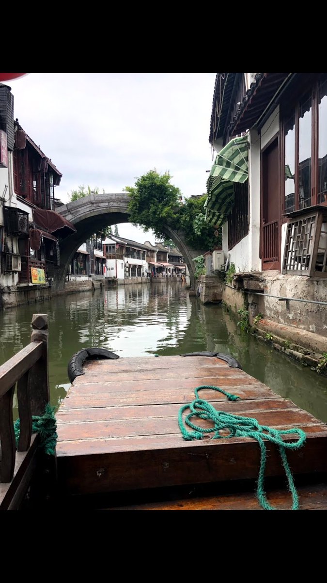 Animosityッ tweet media