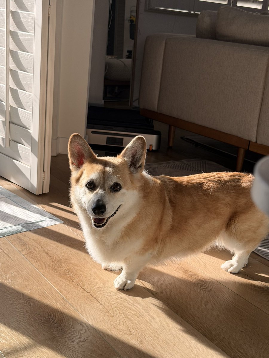 캡틴 일기 tweet media