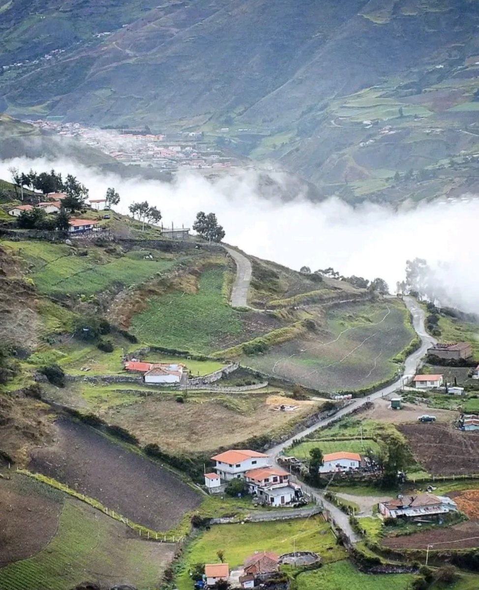 Jose Miguel tweet media