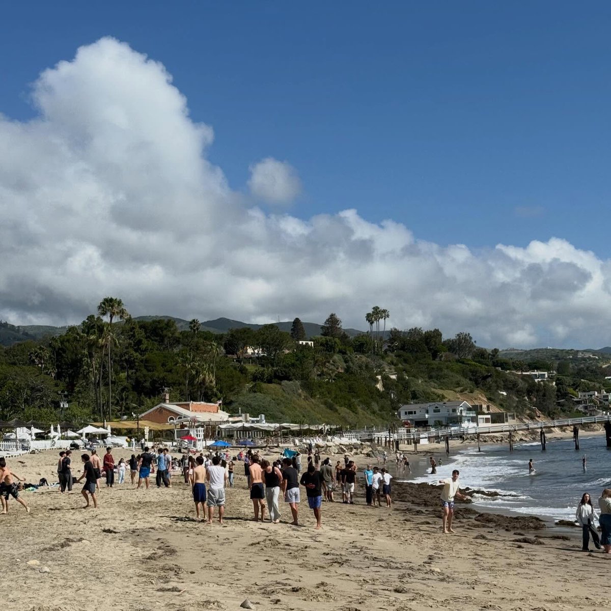 Village Christian School tweet media