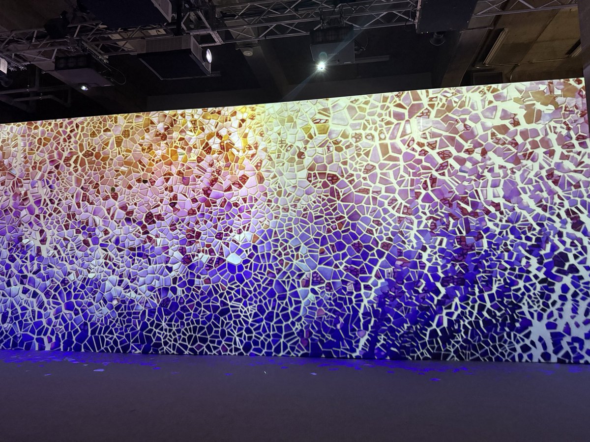 はぴ〜🕊 tweet media