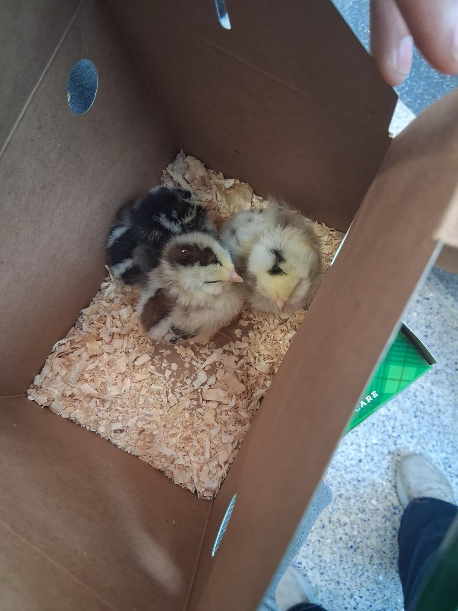 Jake Johnson tweet media