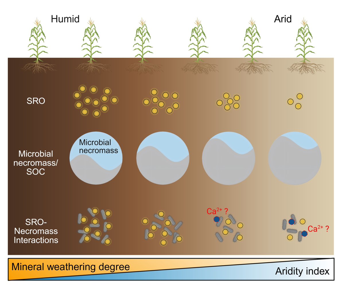Global Change Biology tweet media