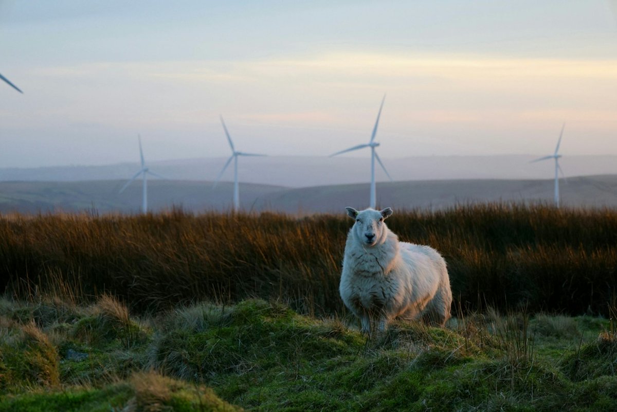 RiskCentre's tweet image. Plaid Cymru plans to share wind farm profits with local people – here’s how that idea has been tried elsewhere: Written by Udisha Saklani, Lecturer, King’s College London When… dlvr.it/TRP64p #PlaidCymru #WindEnergy #LocalCommunities #Sustainability #RenewableEnergy