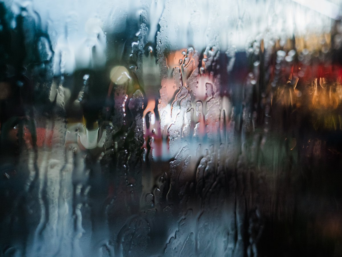 Toro Elmar tweet media