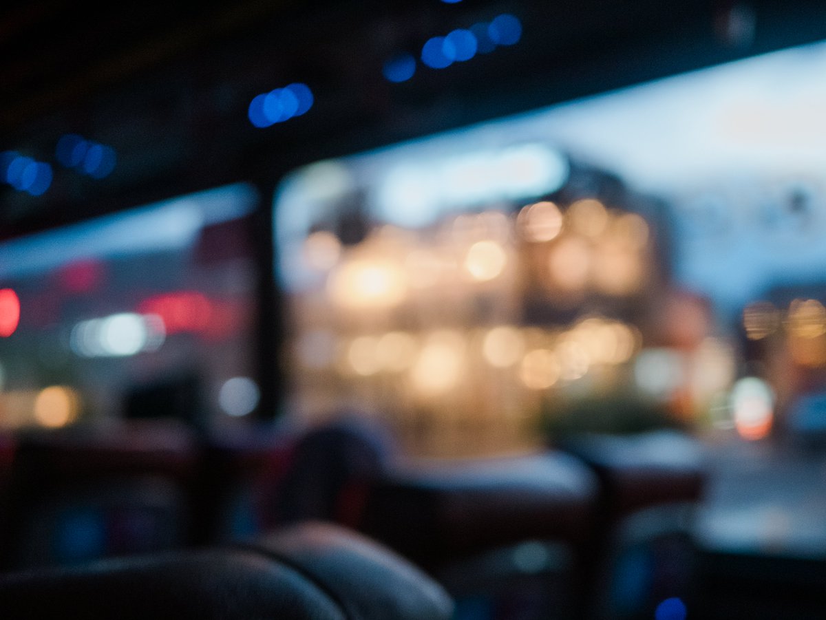 Toro Elmar tweet media