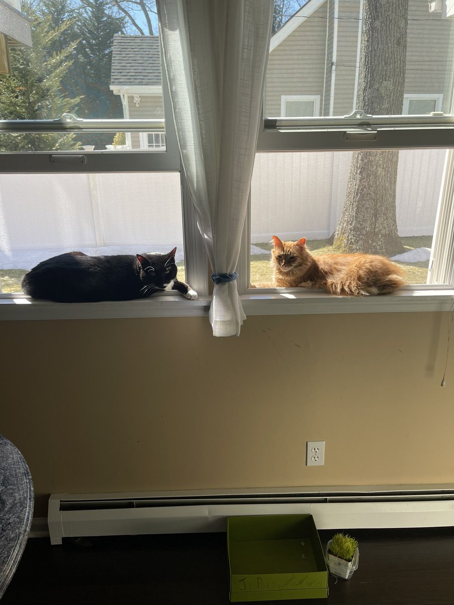 Debby Carr tweet media