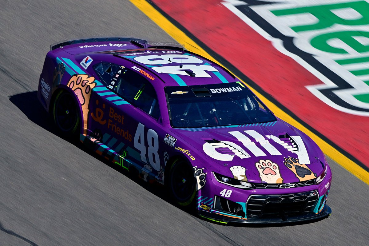 Anthony Alfredo tweet media