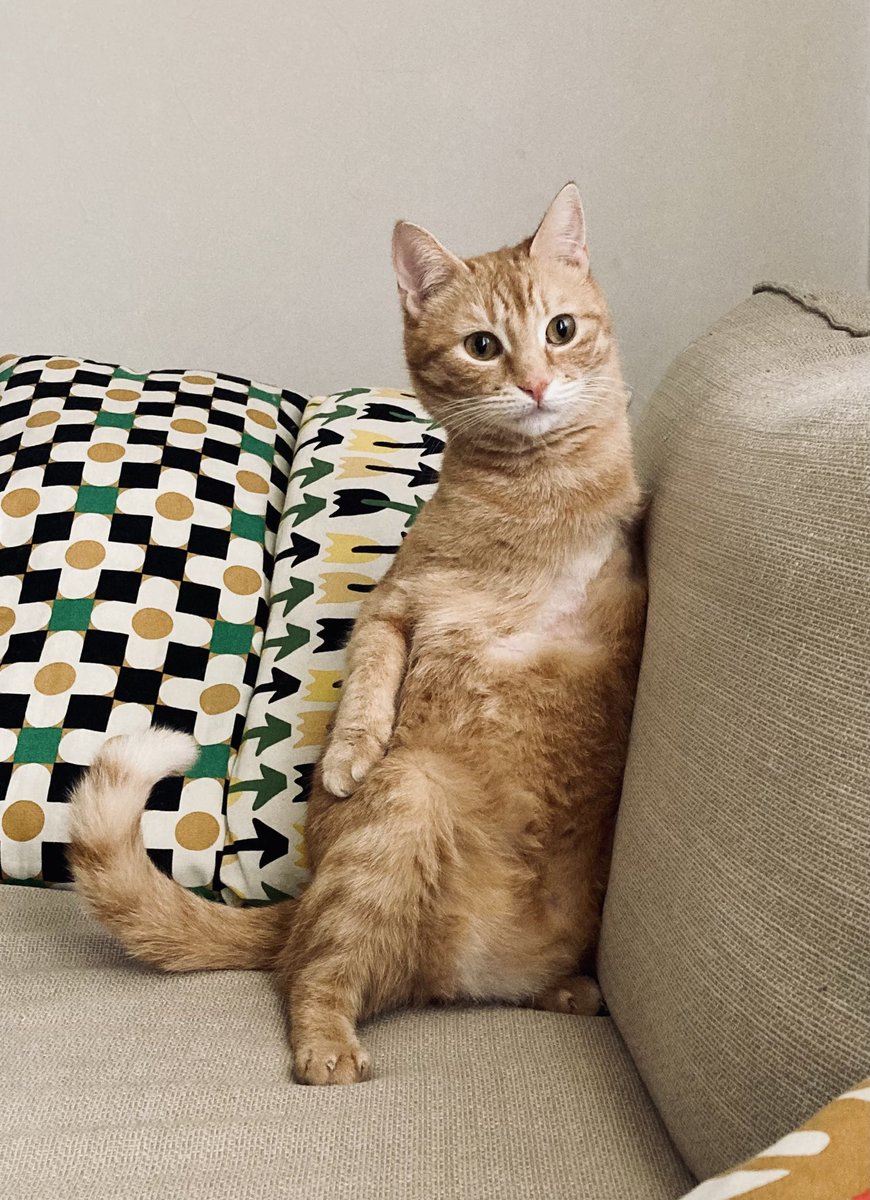 Hakan Toker tweet media