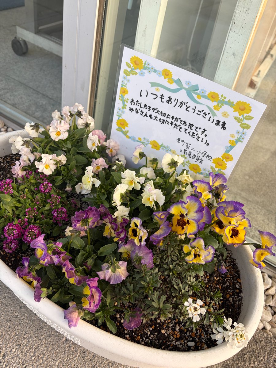 yume_hat's tweet photo. 先日、原町第二小学校の皆さんが大切に育てたお花がゆめはっとに届きました。可愛らしい寄せ植えをありがとうございます！春が近づいてきた感じがしますね。 https://t.co/VRR3B2826m
